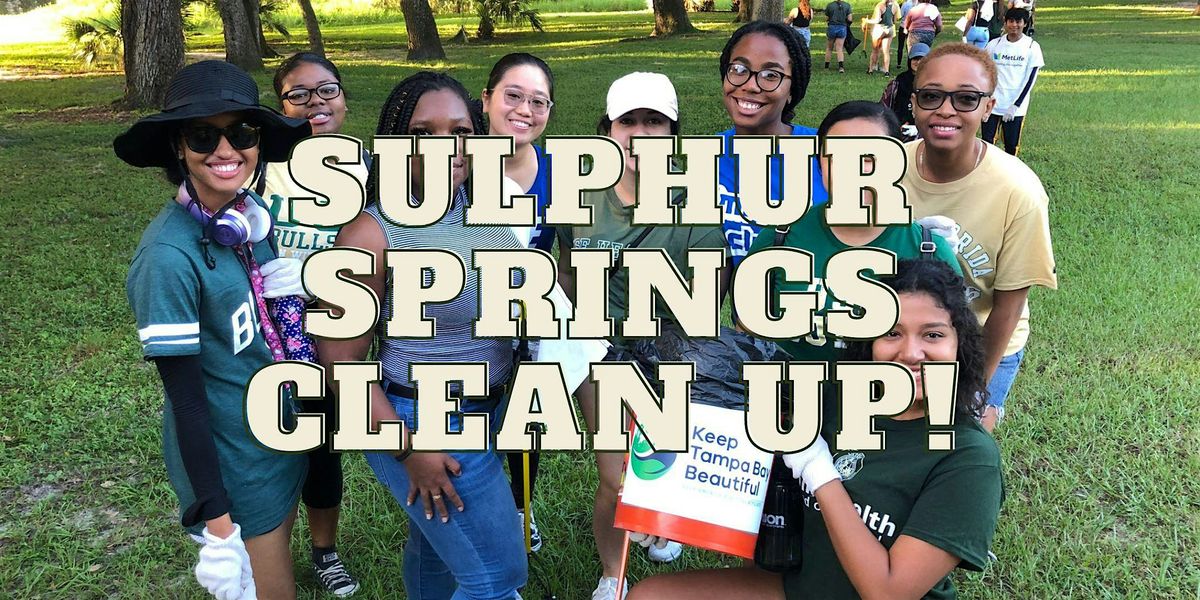 Sulphur Springs Clean Up!