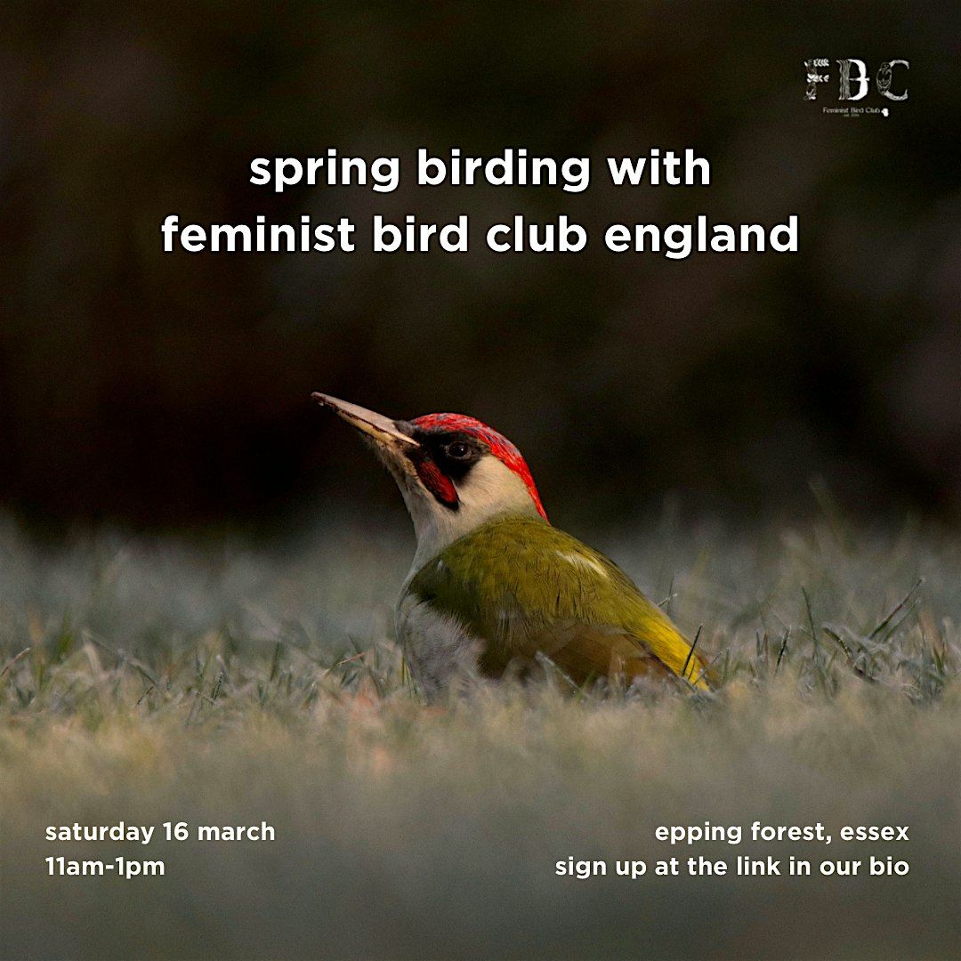 Spring Birding with Feminist Bird Club England, 6 Ranger's Rd, London ...