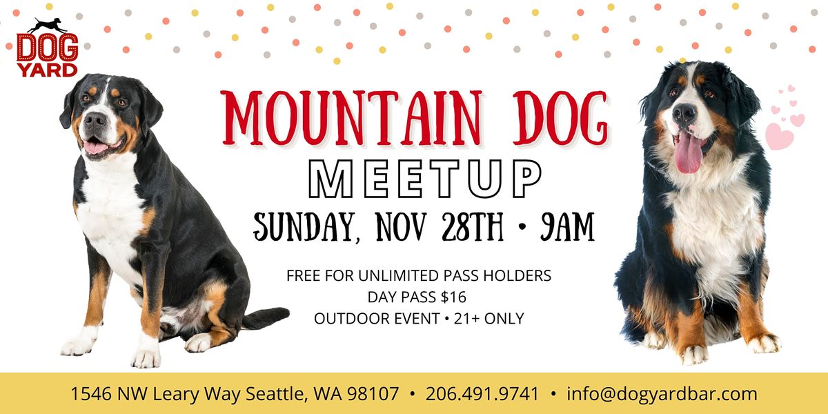 Mountain Dog Meetup at the Dog Yard - Sunday Nov 28