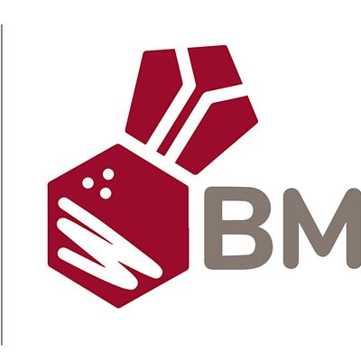 BMI TEAM