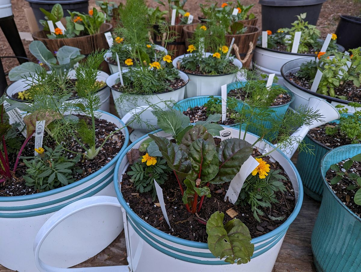BYOP (Bring Your Own Pot) - Grow Food at Home with The Patio Farmer