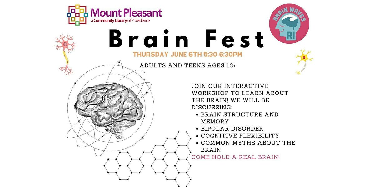 Brain Fest