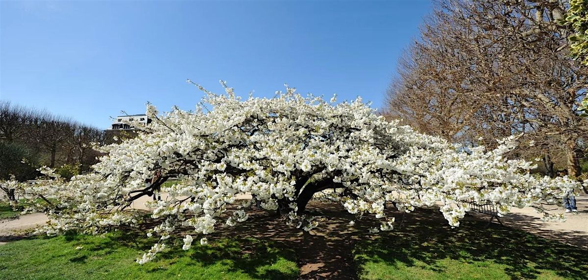 Promenade au Jardin des Plantes