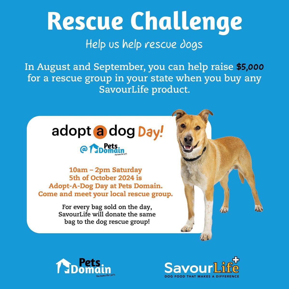 Pets Domain Rescue Challenge