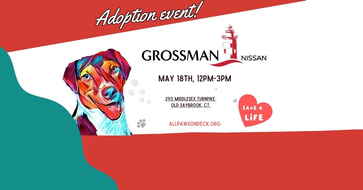 Dog Adoption Event at Grossman Nissan! 