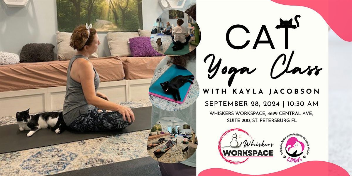 Grounded Cat Yoga Class with Kayla Jacobson