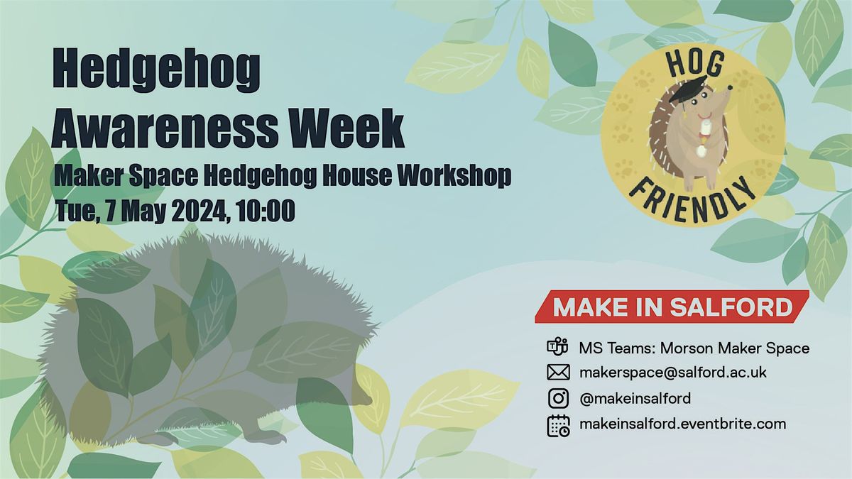 Hedgehog Awareness Week - Maker Space Hedgehog House Workshop