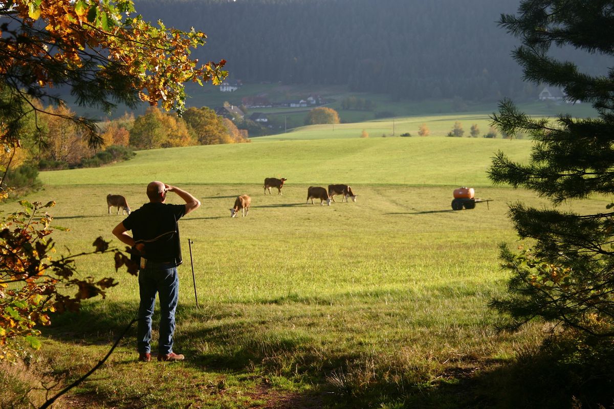 Future Farming Resilience: an update on farming support payments (Webinar)