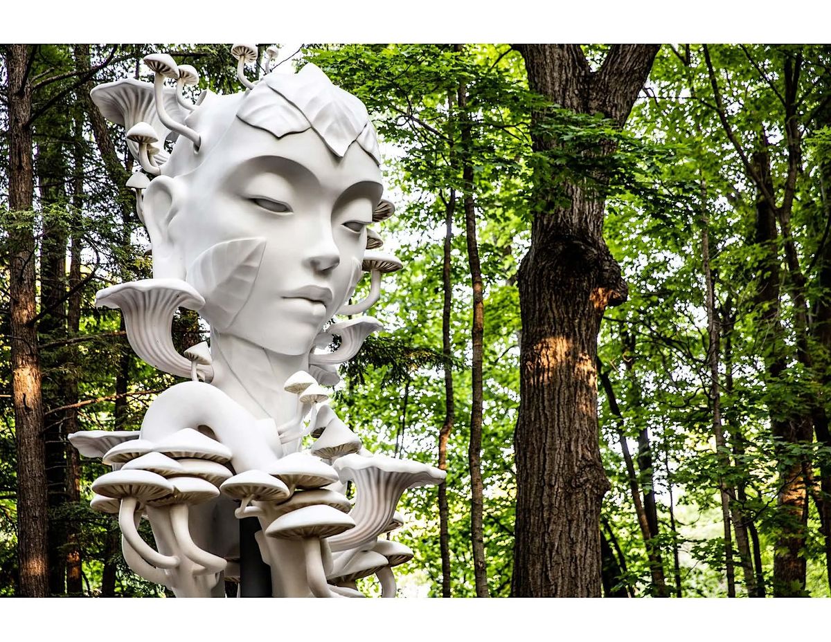 Daniel Popper Mycelia Sculpture Viewing