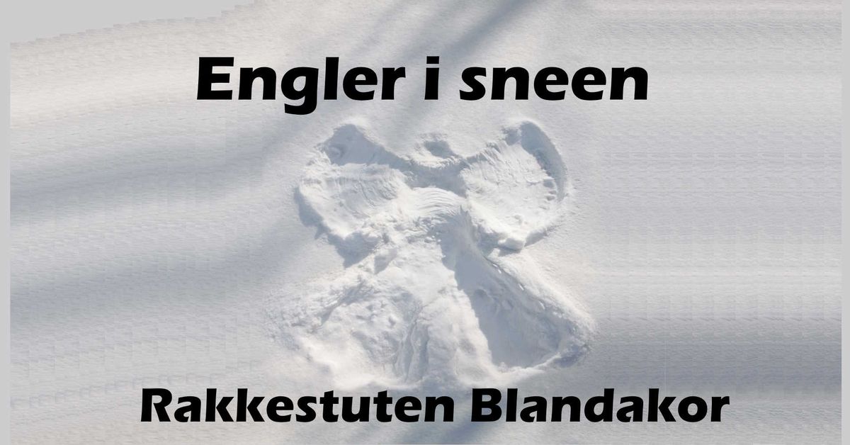 Engler i sneen