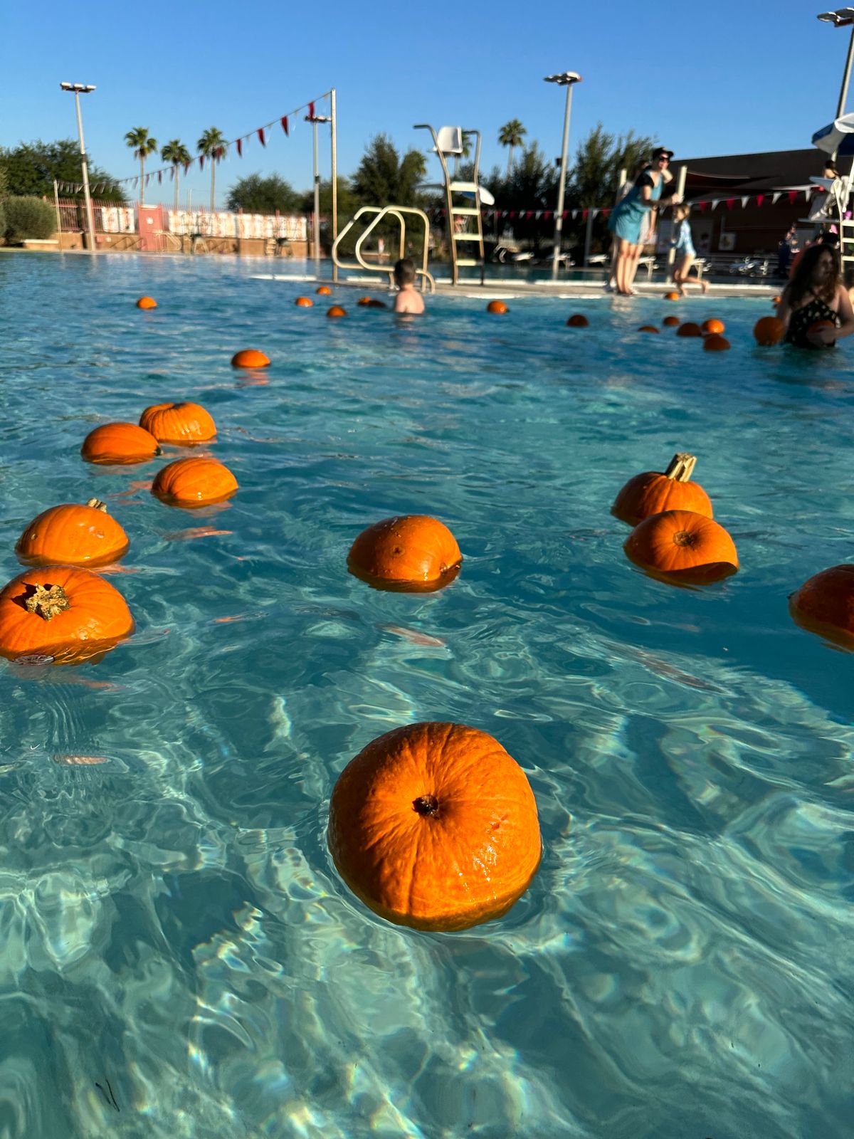 Pumpkin Dunk