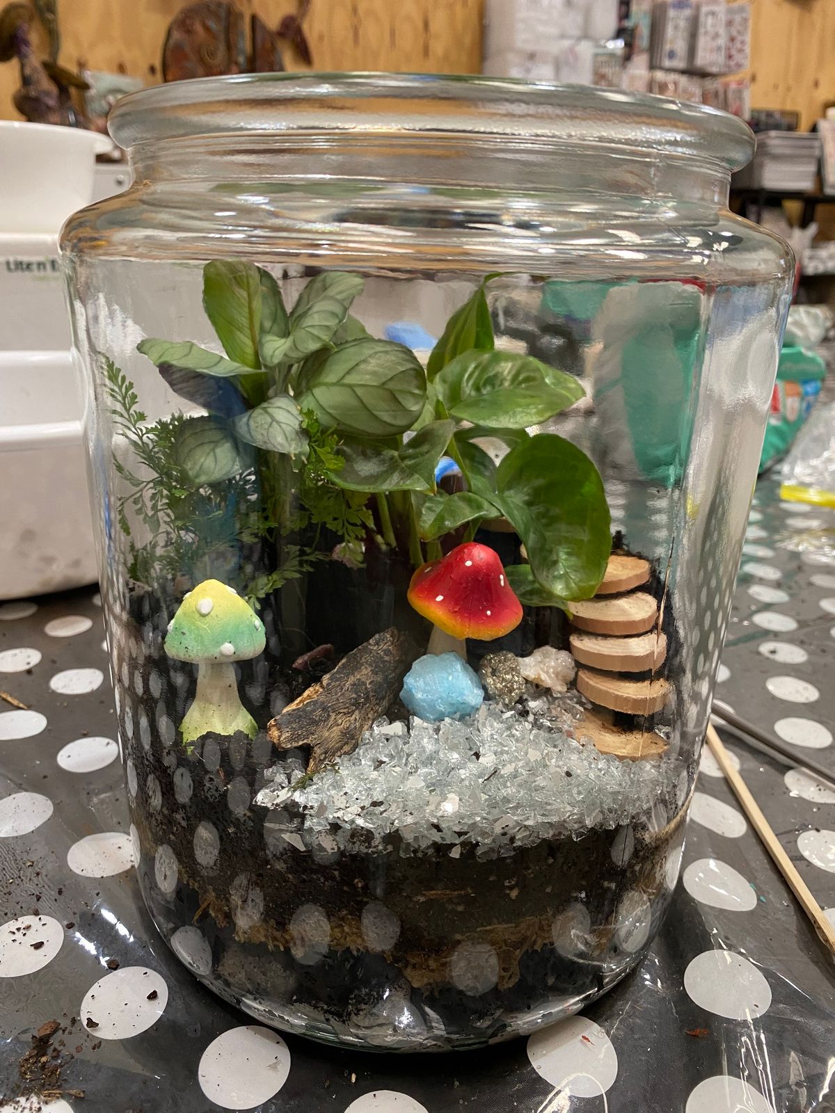 Terrarium Workshop