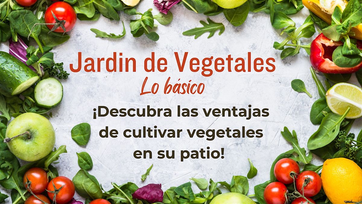 Pasos B\u00e1sicos para tener \u00e9xito en su jard\u00edn de Vegetales \u2013 Mi\u00e9rcoles  8\/7