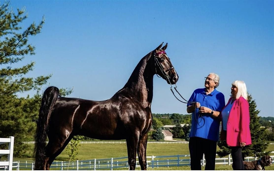 Horse Grooming Classes