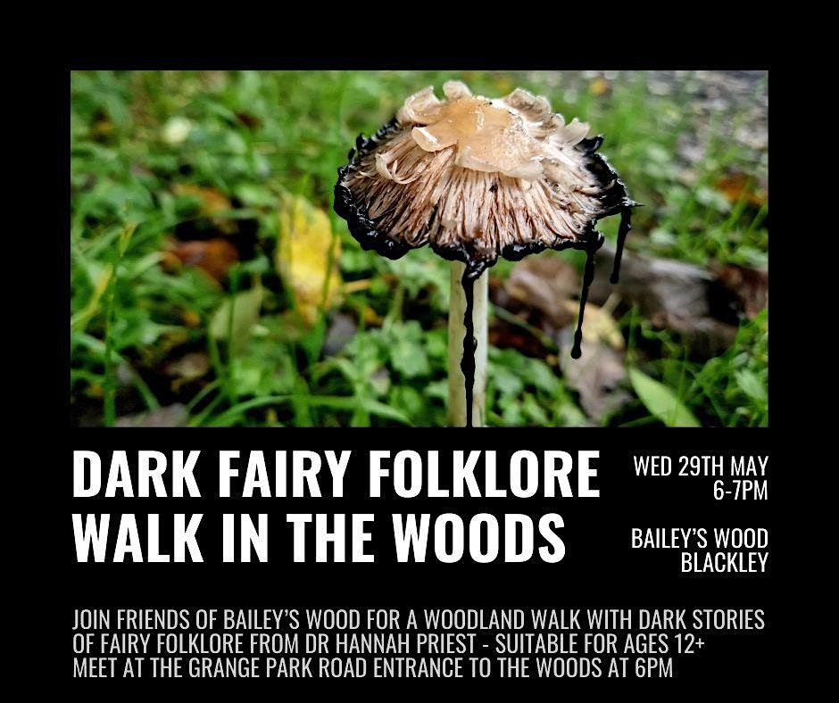 Dark Fairy Folklore Walk in the Woods