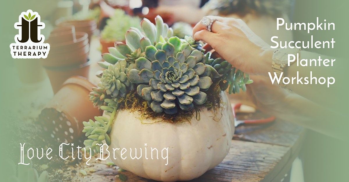 In-Person Pumpkin Succulent Workshop at Love City Brewing