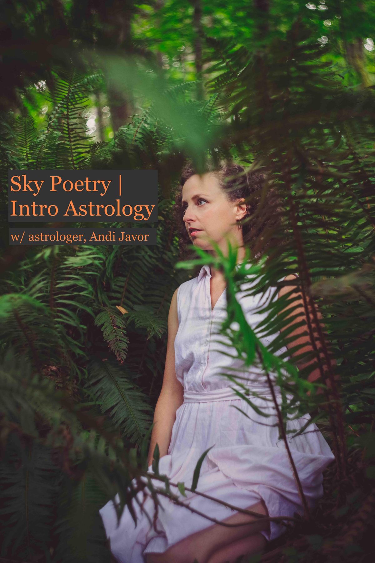 SKY POETRY | An Introduction to Learning Astrology  | Seattle WA