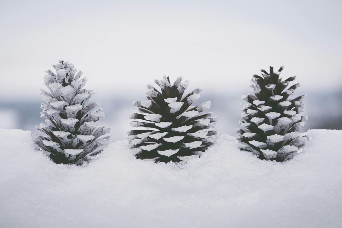 Hybrid Winter Solstice Ritual