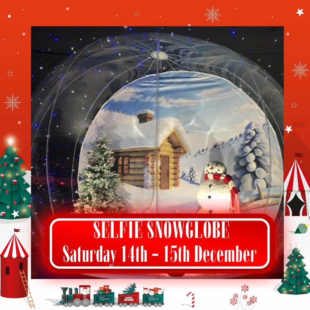 Selfie Snowglobe