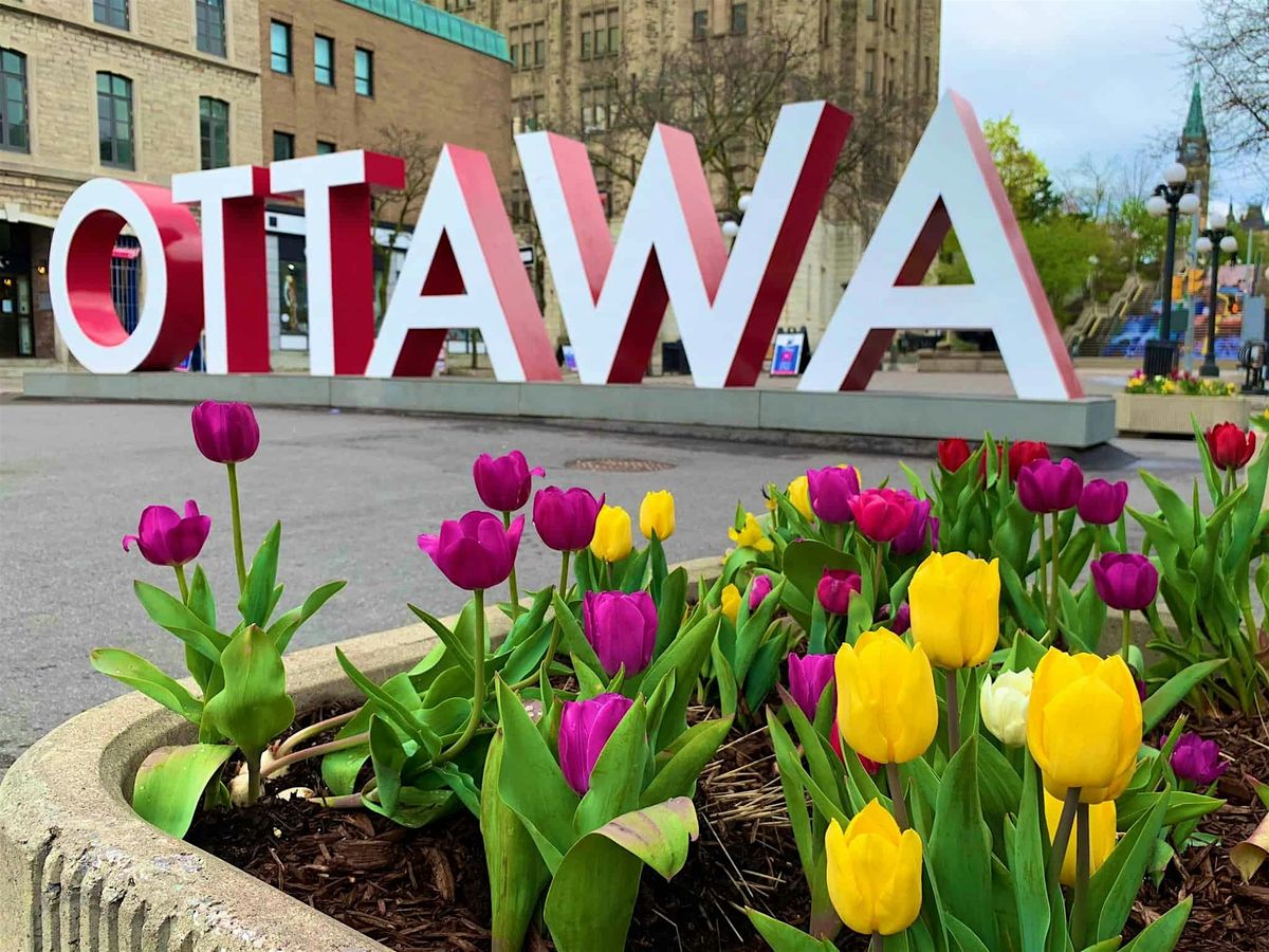 Ottawa Tulips 2024