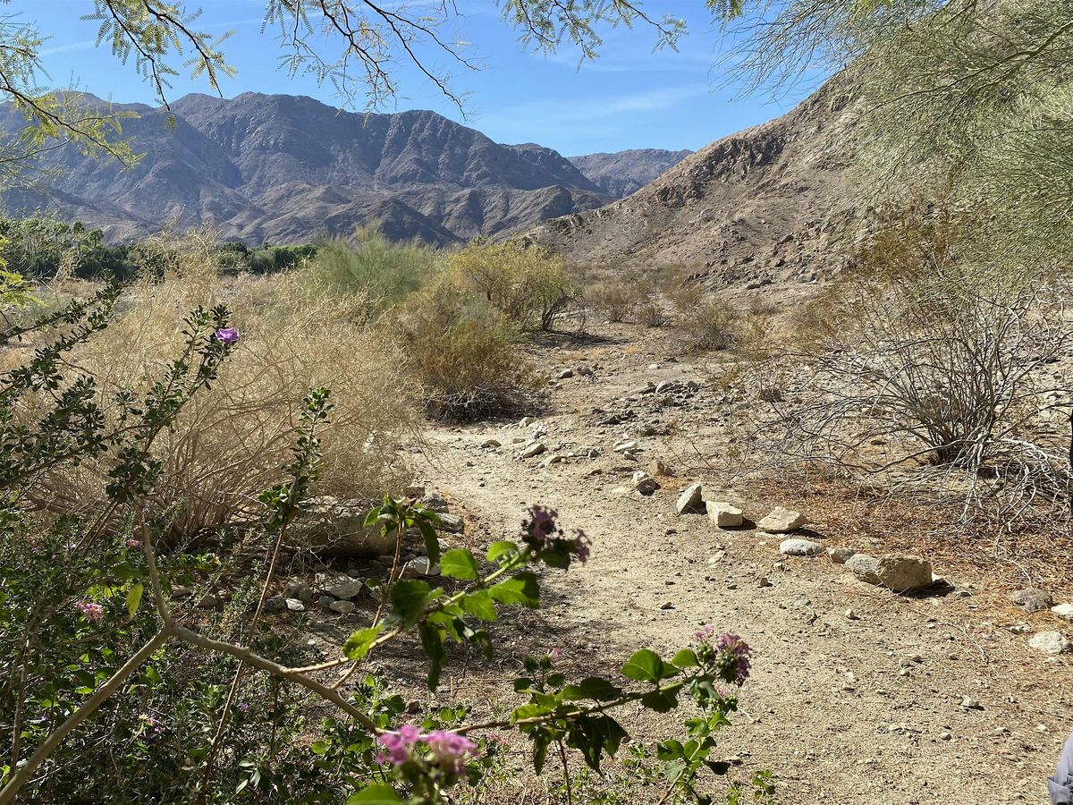 Nature Walk at Blixseth Park