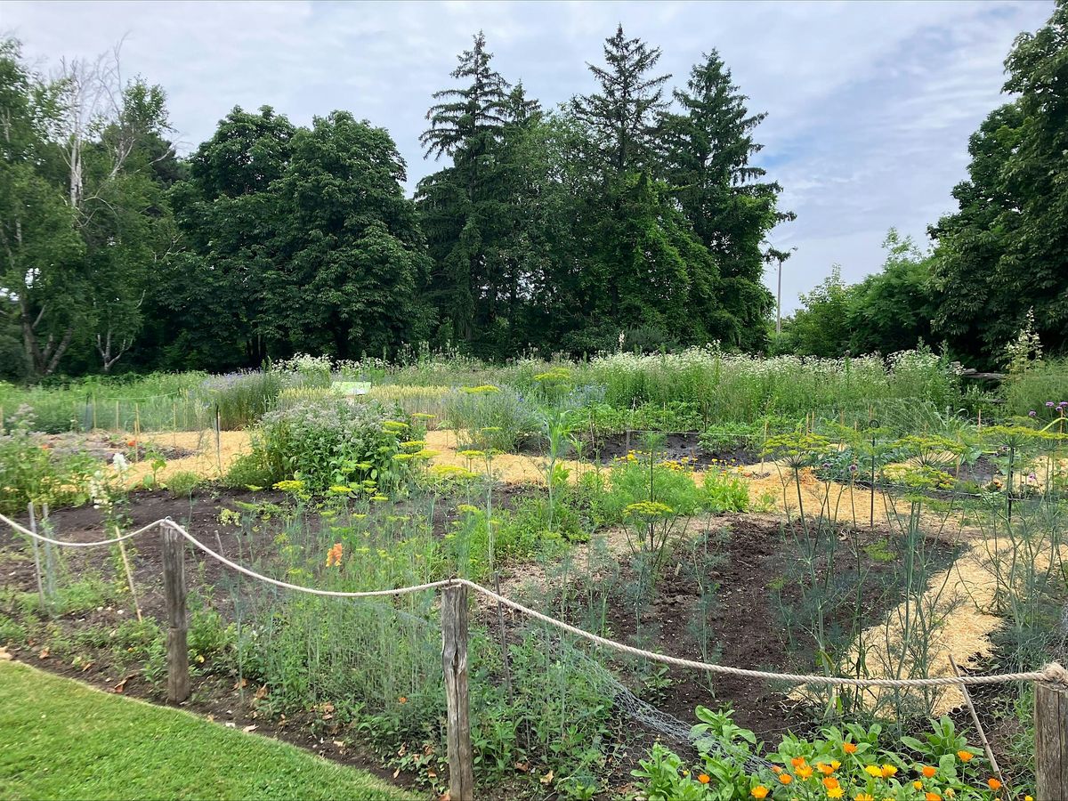 TRCA Youth Council Sustainable and Organic Gardening Town Hall Meeting