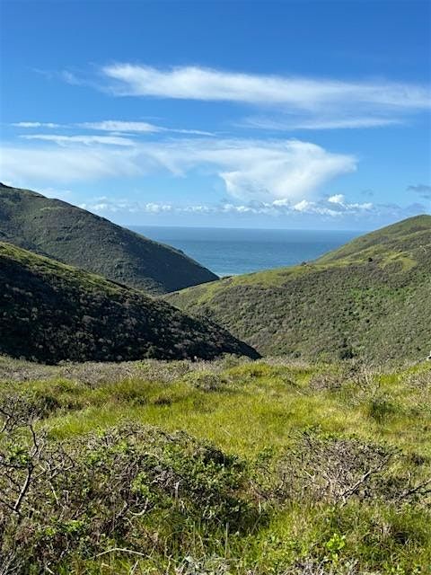 Mt. Tam Teen Hike