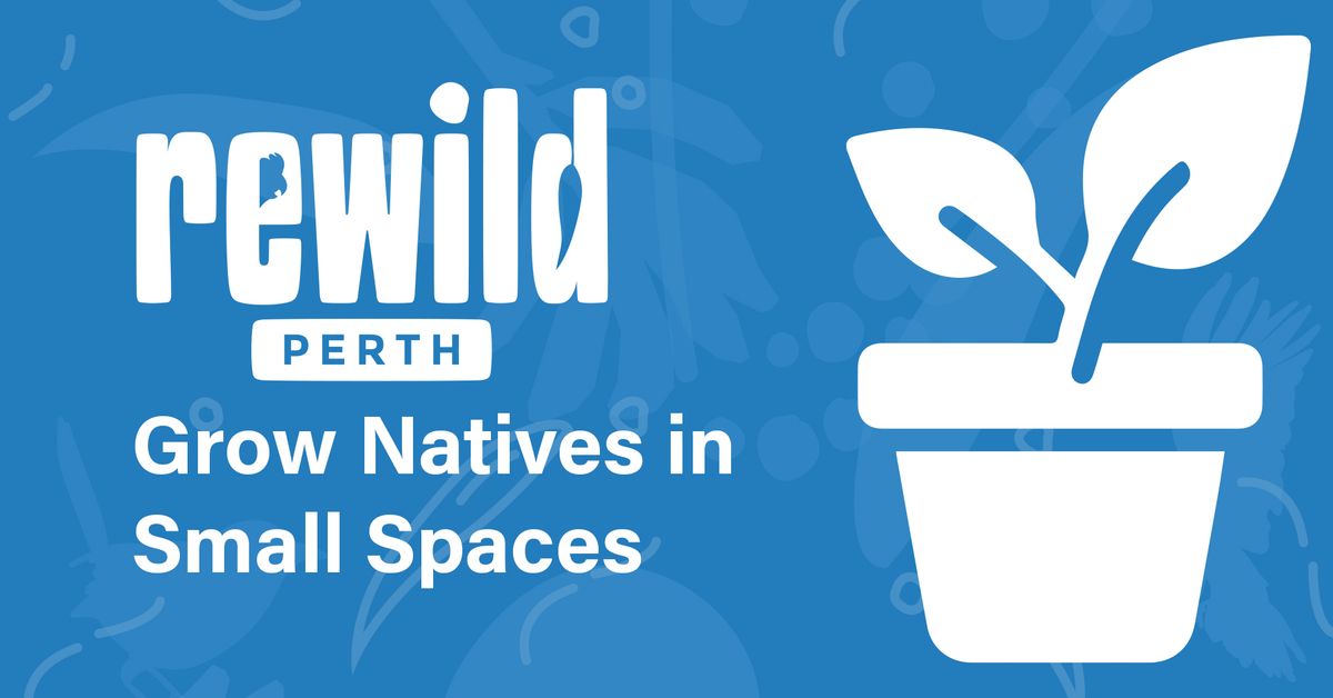 Grow Natives in Small Spaces (Rockingham)