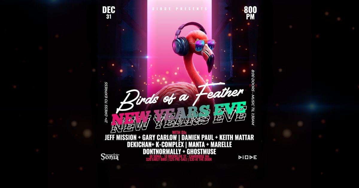 Birds of a Feather - A Diode NYE Fundraiser