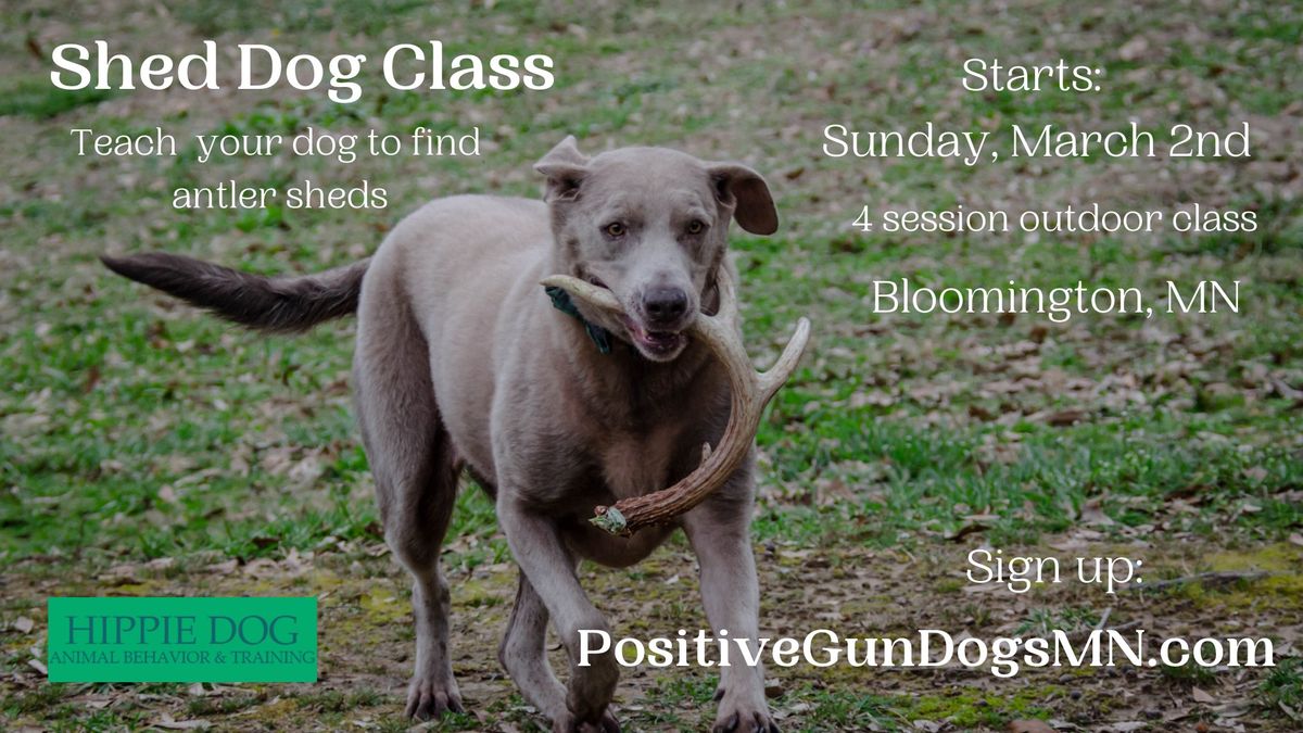 Shed Dog Class (Bloomington, MN)