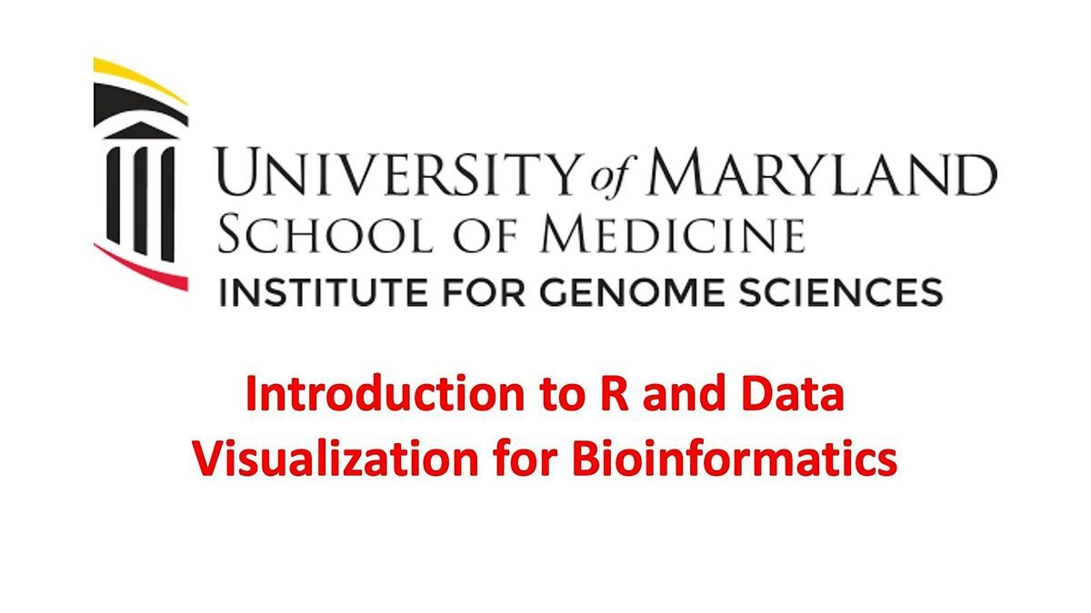 Introduction to R and Data Visualization for Bioinformatics 2024