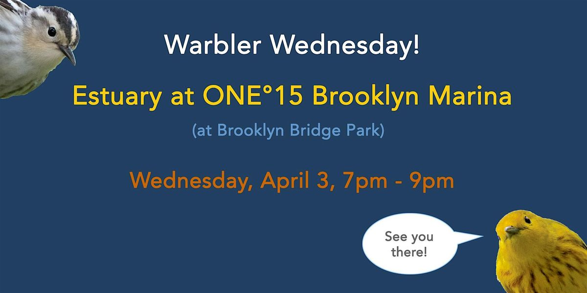 Warbler Wednesday at Estuary in BBP