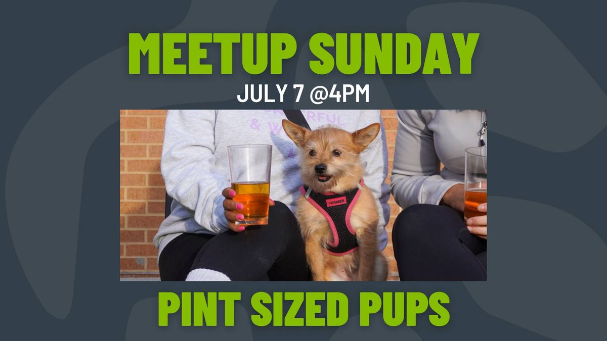 Meetup Sunday: Pint Sized Pups