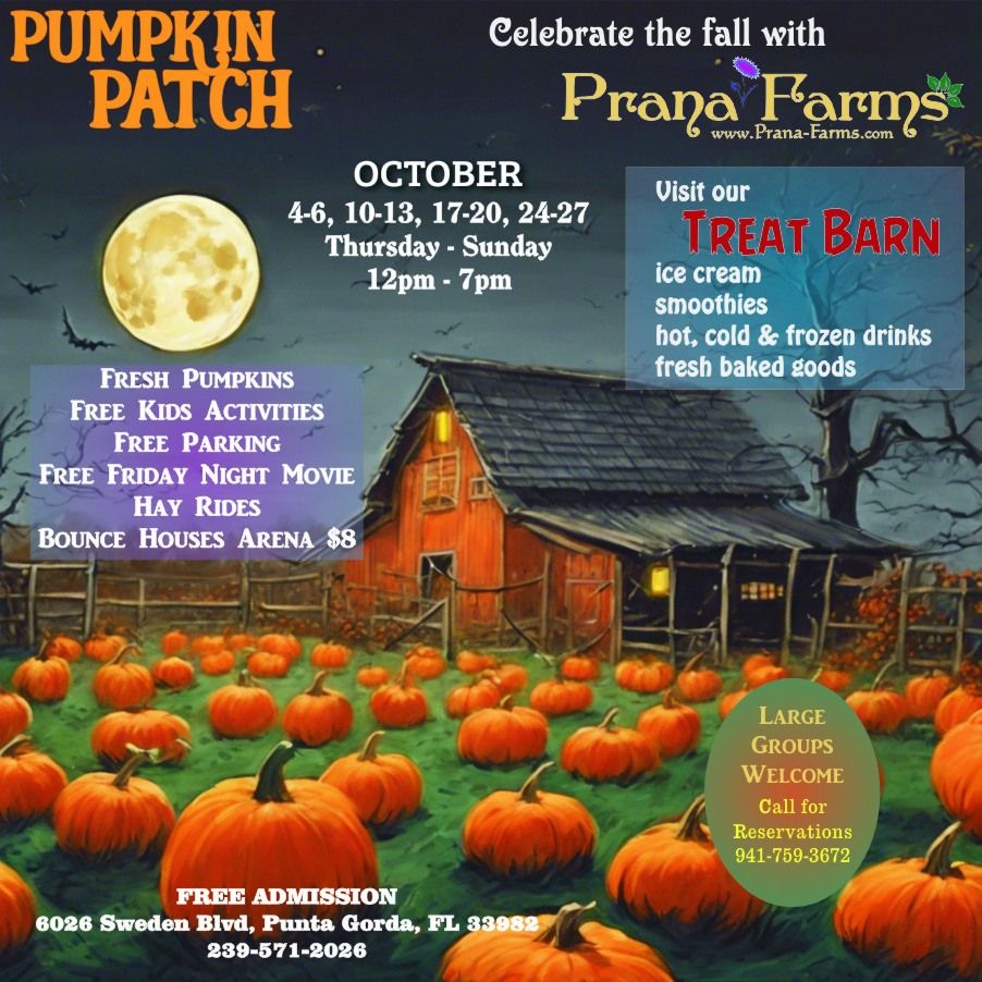 Pumpkin Patch Wk. 3