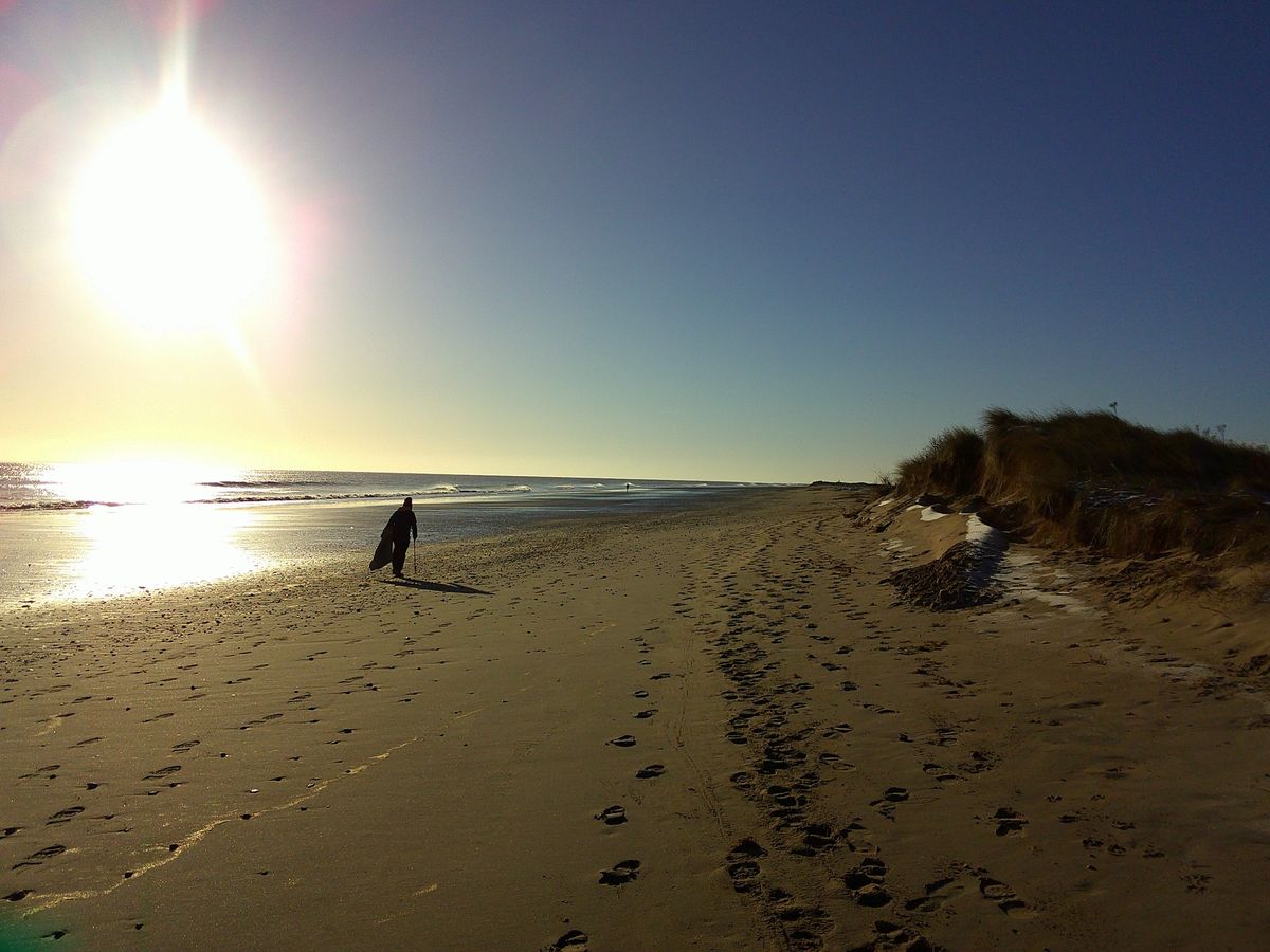 Beach Clean