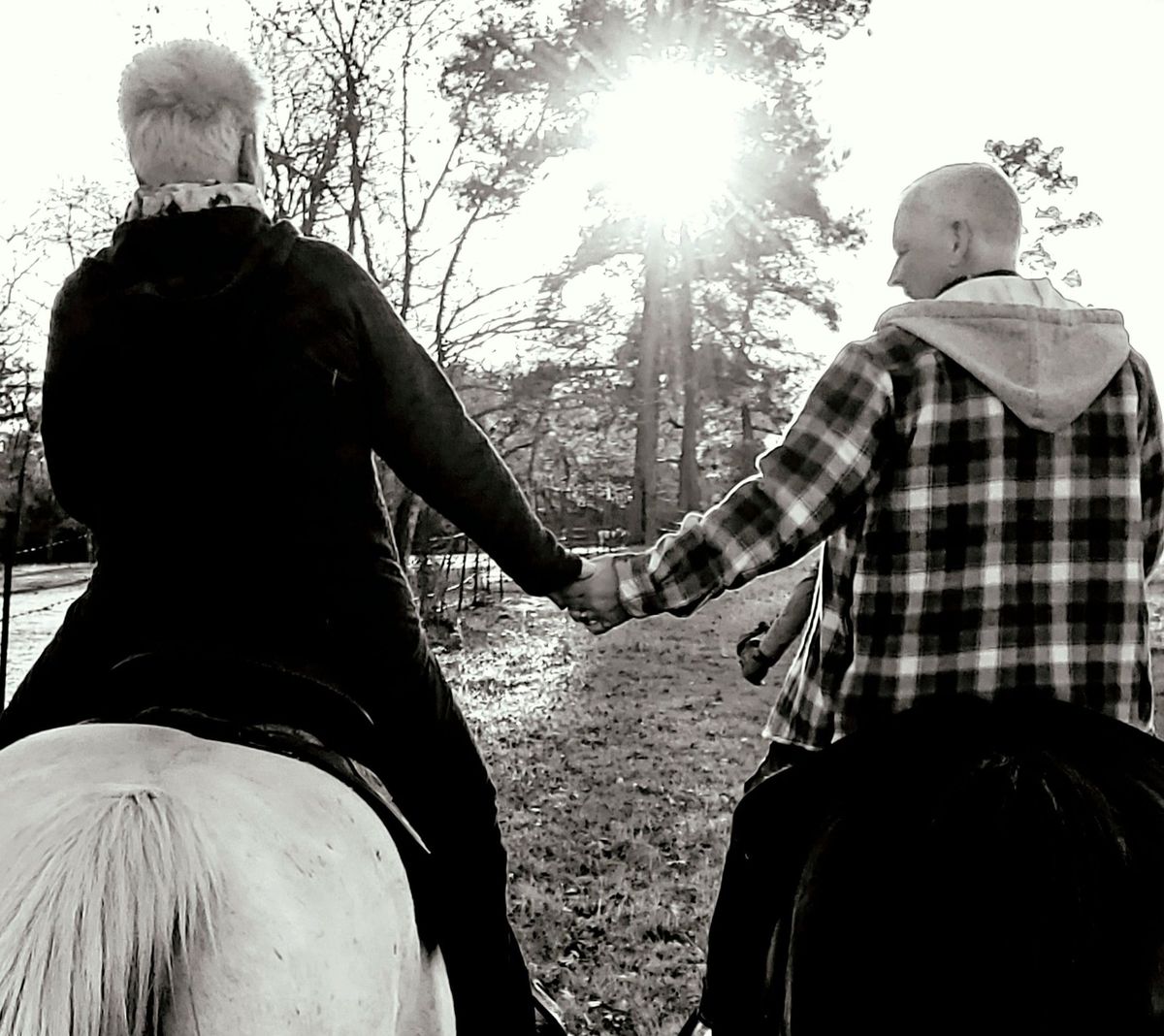 Sweetheart Horseback Rides 