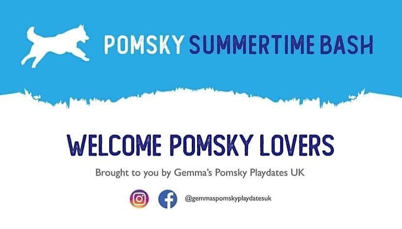 Summertime Pomsky Bash 2024