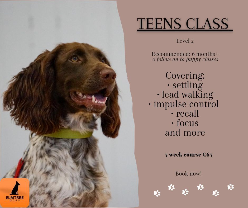 Teens Class Level 2 - Swallownest 