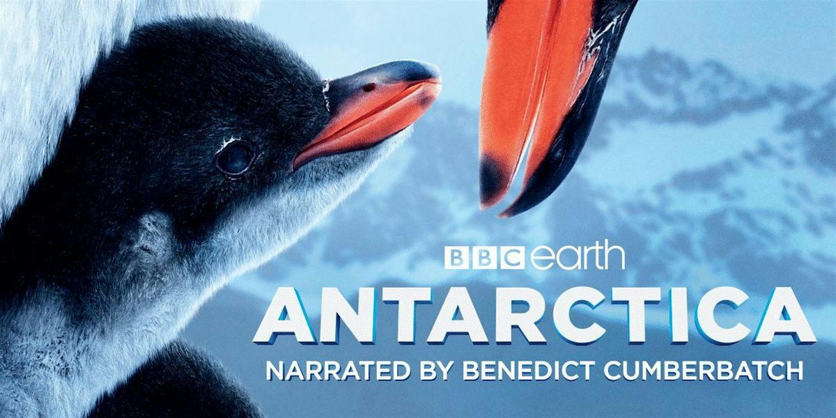 BBC Earth Antarctica: BBC Studios Natural History Unit