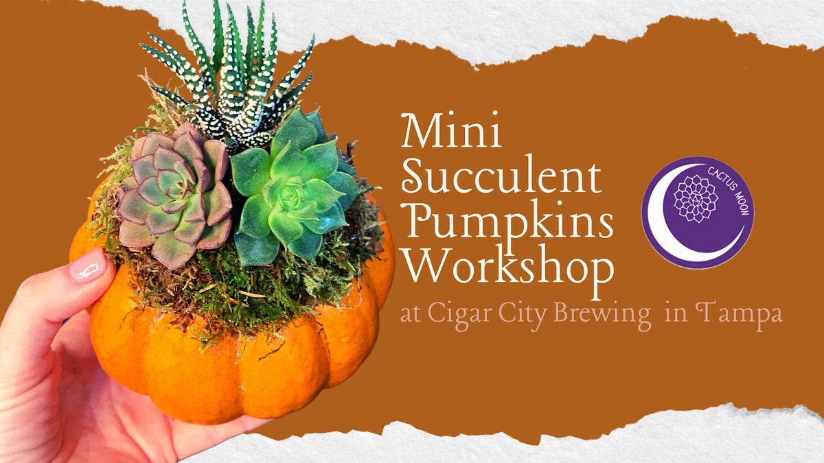 Oct 10: Succulent Pumpkins Workshop at Cigar City in Tampa