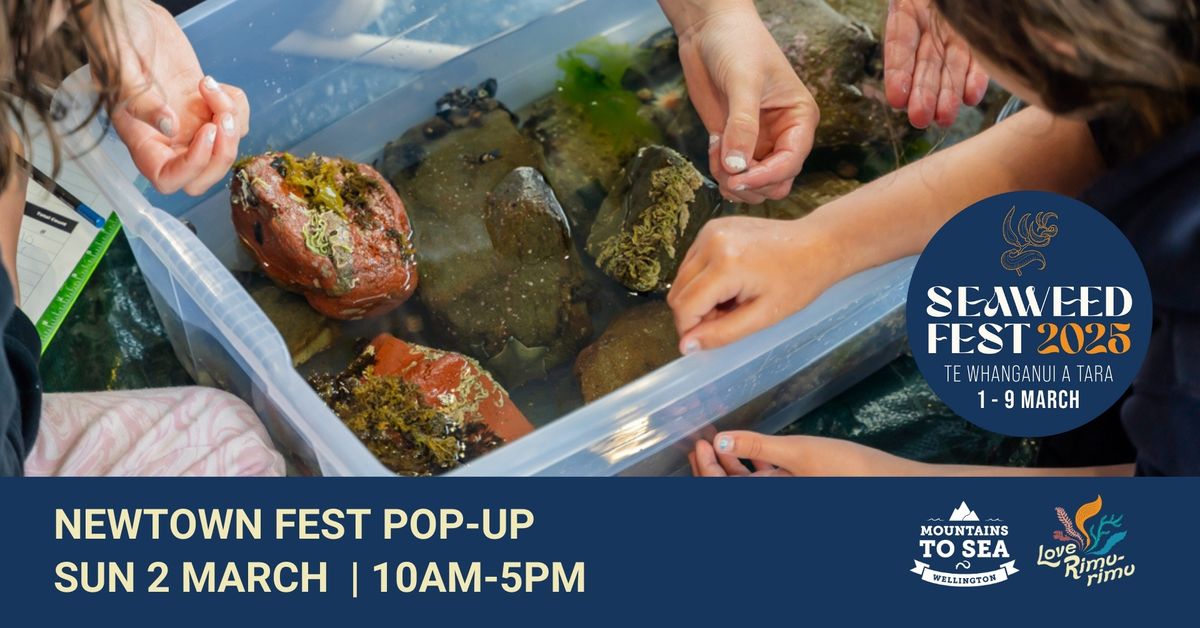 Newtown Seaweed Fest Pop-Up