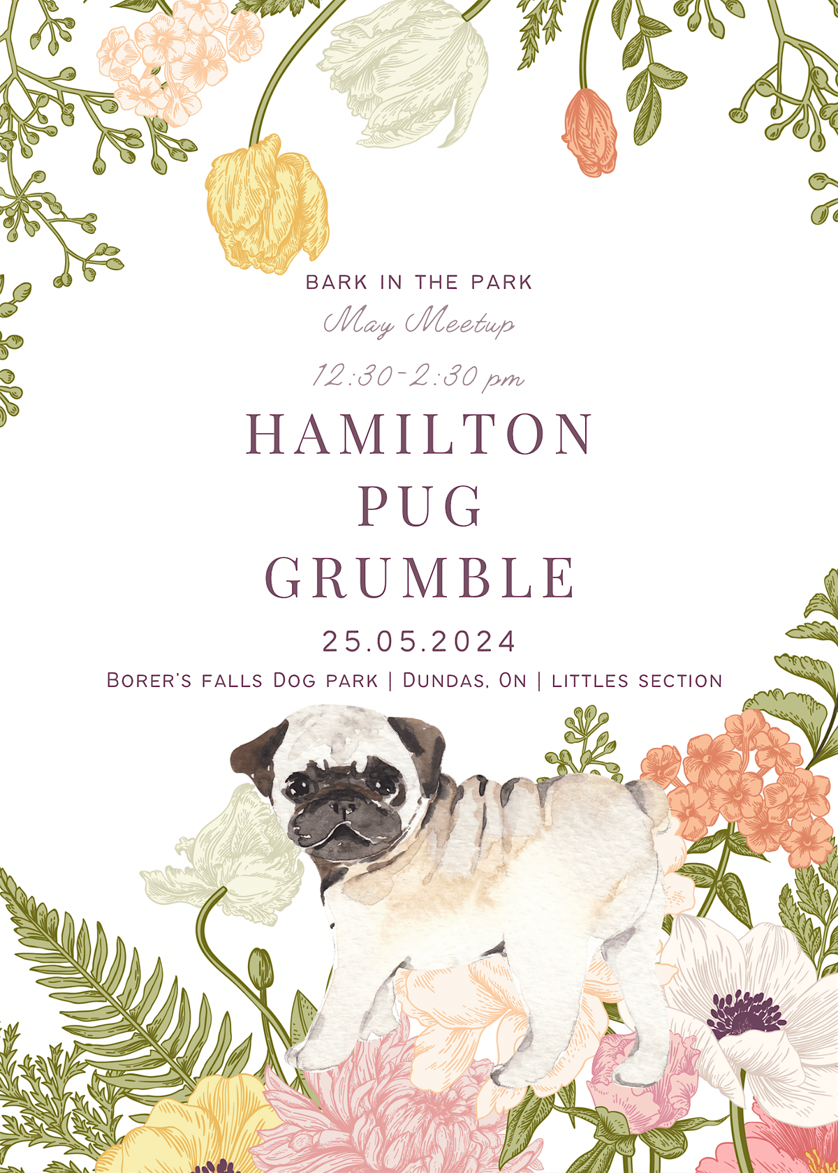 May Pug Grumble - Bark in the Park