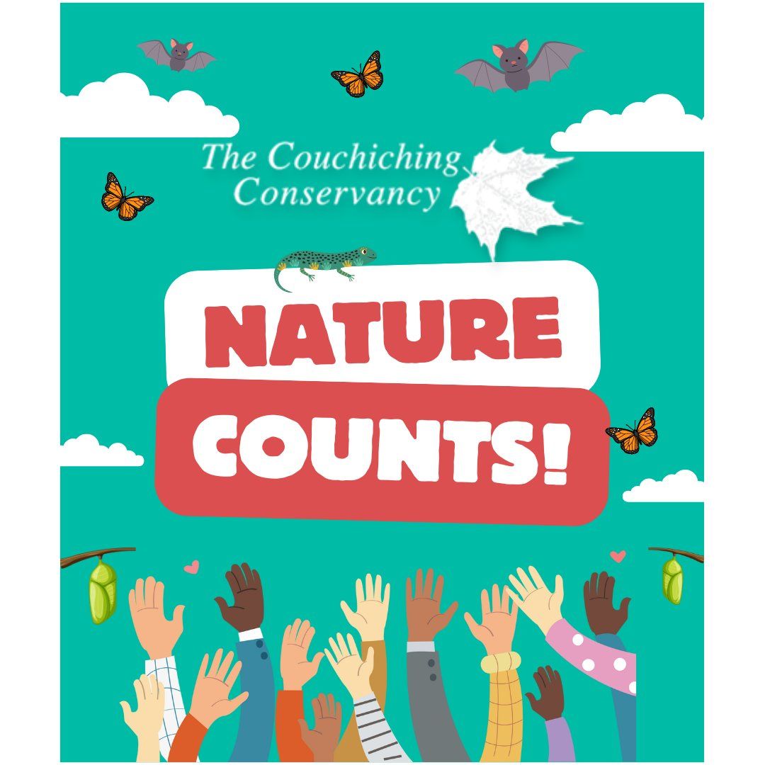 Nature Counts