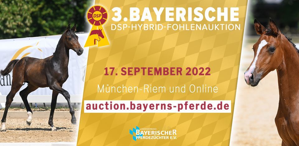 3. Bayerische DSP-Hybrid-Fohlenauktion