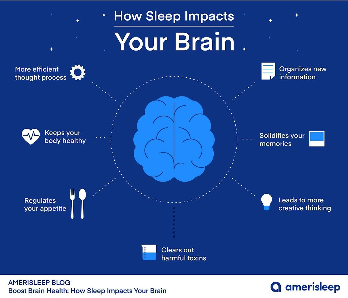 Our brains during sleep