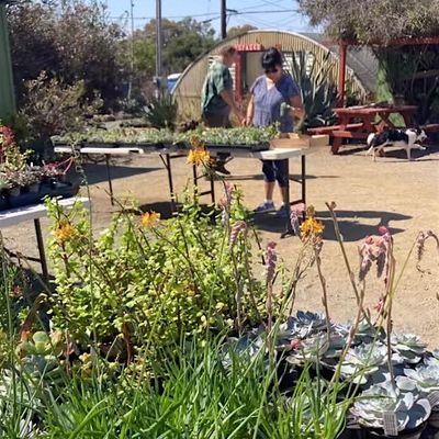 TMHA  Growing Grounds Nursery