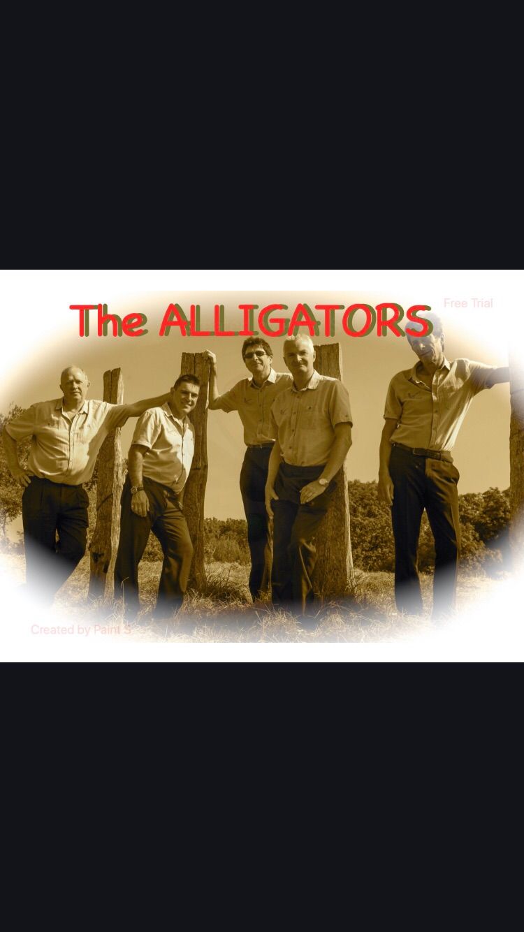 The Alligators Rock n Roll Band