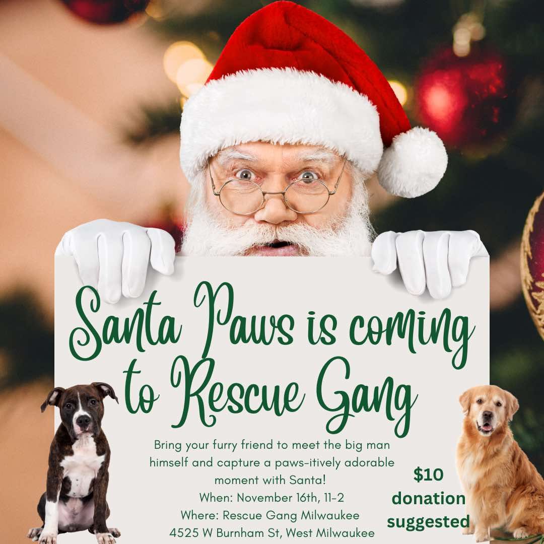 Santa Paws is coming to Rescue Gang! 