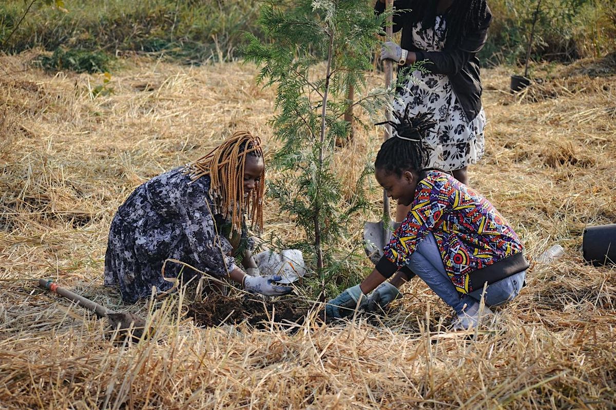 Everett Community Planting (Jackson Park)