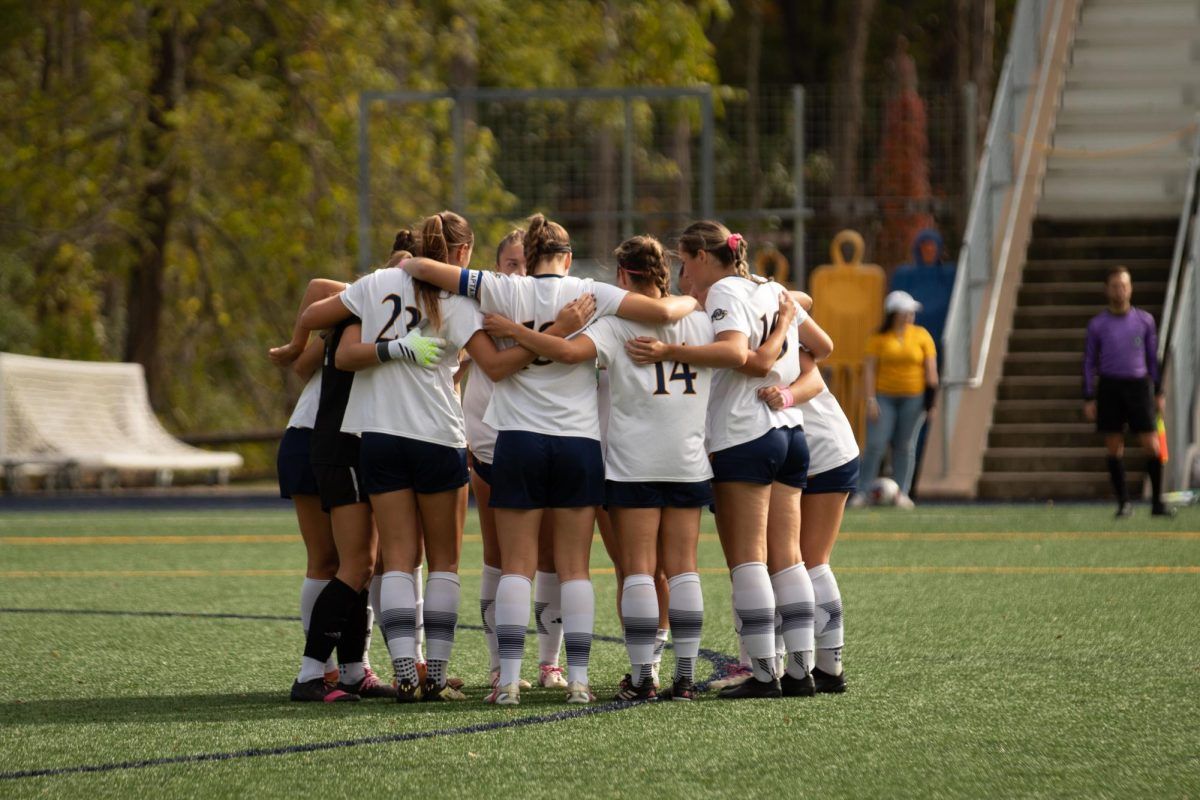 Quinnipiac Bobcats vs. Brown Bears